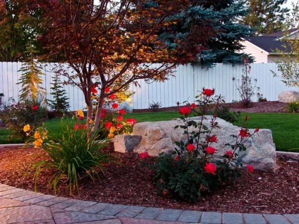 A vibrant garden scene with colorful flowers, trees, rocks, and a well-maintained lawn.